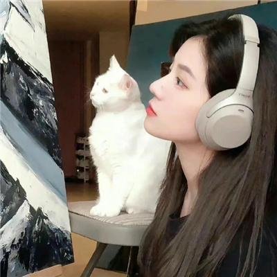 面纱